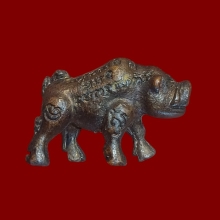 หมูเขี้ยวตัน ลป.เส็ง วัดบางนา รุ่นแรก