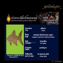 ปลาตะเพียน เรียกทรัพย์ หลวงพ่อจง วัดหน้าต่างนอก