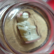 หนุมานหลวงพ่อกุหลาบ ( เนื้องา )