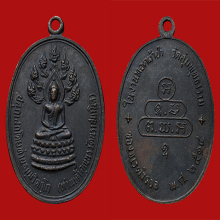 เหรียญนาคปรกเจ เจ้าคุณนรฯ ปี2513 บล็อคดาวกระจาย(นิยม)