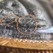 พระปิดตาปลดหนี้หลังยันต์ตรี หลวงปู่โต๊ะ เนื้อผงใบลาน ปี 2521
