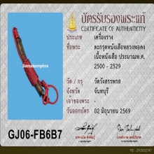 ตะกรุดหนังเสือ ลพ.คง วัดวังสรรพรส พร้อมบัตรสมาคม