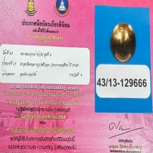 “ปรอทกินทองเมฆสิทธิ์ล้านนา“ครูบาศรีอ่อง บรรพสถิต