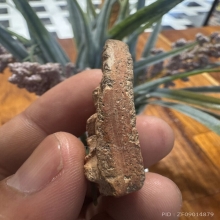 พระขุนแผนกรุวัดบ้านกร่าง พลายคู่หน้าเทวดา