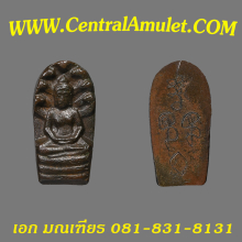 ปรกใบมะขามท้ายตลาด เนื้อทองแดง(แชมป์โลก) + ตลับเพชร