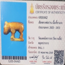 เสือ หลวงพ่อปาน พิมพ์ศิลป์วัดกลาง วัดบางเหี้ย ปี2453