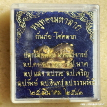 หมูทองมหาลาภ 