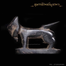 แพะเก่า ไม่ทราบที่