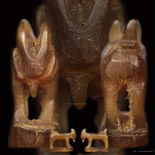 แพะหลวงปู่อ่ำ วัดหนองกระบอก ศีลป์ปลัดเจริญ เขาควายเผือก