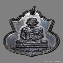 เหรียญน้ำเต้าหลวงพ่อทวด วัดราชานุวาส(วัดแค) ปี2506 (รุ่นแรก)