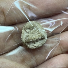 พระปิดตาเนื้อผงหัวบานเย็น หลวงปู่เอี่ยม วัดหนัง