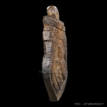 Rare item กะลาราหูเผือก(หายาก) อ.ปิ่น ศิลป์ลุงศรีใหญ่(นิยม)