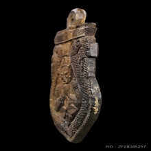 Rare item กะลาราหูเผือก(หายาก) อ.ปิ่น ศิลป์ลุงศรีใหญ่(นิยม)