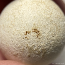 ลูกอมมณีนพรัตน์ หลวงปู่ดู่ วัดสะแก (สภาพใช้)