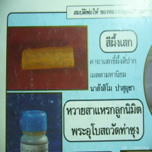 หวายลูกนิมิต หลวงพ่อฤาษีลิงดำ วัดท่าซุง ปี ๒๕๒๐