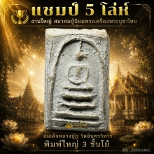 หลวงปู่ภู วัดอินทรวิหาร พิมพ์ใหญ่ 3 ชั้นโย้ แชมป์ 5 โล่ห์ 