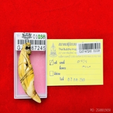 เสือลพ.นก วัดสังกะสี