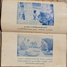 เนื้อลายพิเศษ / พระสมเด็จปรกโพธิ์ หลวงพ่อแพ วัดพิกุลทอง 