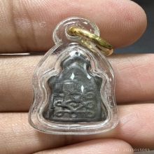 พญาเต่าเรือน หลวงปู่ศุข วัดปากคลองมะขามเฒ่า 