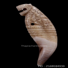 เขี้ยวเสือหลวงพ่อนก วัดสังกะสี ยุคต้นเก่ามาก