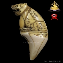 ตัวครู เสือหลวงพ่อสาย วัดบางเหี้ย เต็มเขี้ยว สภาพสวยมาก