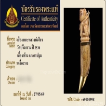 เสืองาแกะหลวงพ่อไสว วัดปรีดาราม จ.นครปฐม