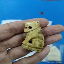 พยัคฆ์ล้านนา เสือ เขี้ยวแกะ ครูบาน้อย วัดบ้านปง เชียงใหม่่