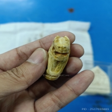 พยัคฆ์ล้านนา เสือ เขี้ยวแกะ ครูบาน้อย วัดบ้านปง เชียงใหม่่