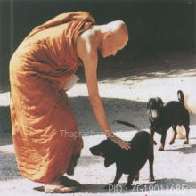 คาถาองค์หลวงตา องค์พระอรหันต์ผู้ให้แห่งแผ่นดิน ลต.มหาบัว
