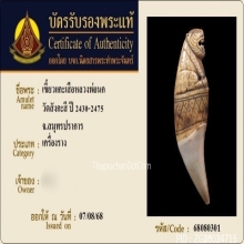เขี้ยวเสือหลวงพ่อนก วัดสังกะสี ยุคต้นเก่ามาก