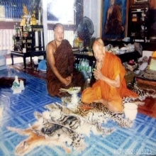 ตะกรุดหนังเสือลายเมฆ จารมือ หลวงปู่ผาด วัดบ้านกรวด 