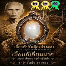 เบี้ยแก้หลวงพ่อคำ วัดโพธิ์ปล้ำ จ.อ่างทอง