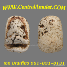 ปิดตาวัดพลับ (แชมป์) + ตลับทอง