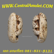 ปิดตาวัดพลับ (แชมป์) + ตลับทอง