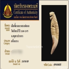 เขี้ยวเสือหลวงพ่อนก วัดสังกะสี ยุคต้นเก่ามาก