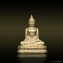 พระพุทธวัดป่าดานวิเวก หายาก 