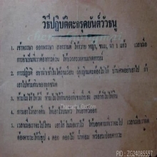 วัว ธนูเขาแกะ ครูบาอินทร์ตา วัดวังหงส์ จ.แพร่