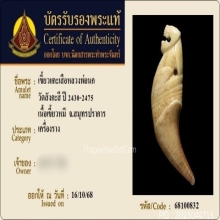 เขี้ยวเสือหลวงพ่อนก วัดสังกะสี ยุคต้นเก่ามาก