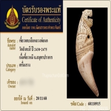 เขี้ยวเสือหลวงพ่อนก วัดสังกะสี ยุคต้นเก่ามาก
