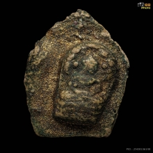 พระนาคปรกหลวงปู่ทิม วัดละหารไร่ ปี2517