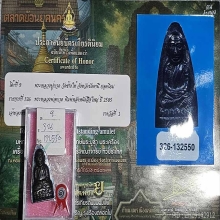หลังหนังสือใหญ่ ปี 05 เสาอากาศไหล่จุด+ใบประกาศ (เพิ่มเติม)