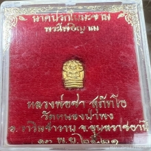 ปรกทองคำ ลป.ชา วัดหนองป่าพง ปี 2521