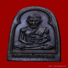 เหรียญซุ้มกอ ไม่มีหู หลวงปู่ทวด วัดช้างให้ ปี2506