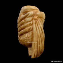 พญาแมลงภู่คำ งาแกะ