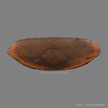 รูปเหมือนปั้มหลวงพ่อรวย จนฺทสิริ วัดท่าเรือ ปี2512 (รุ่นแรก)