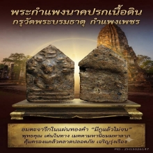 พระกำแพงนาคปรก เนื้อดินกรุวัดพระบรมธาตุ จ.กำแพงเพชร