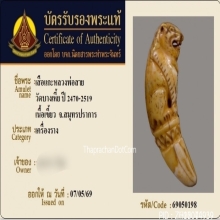 เสือหลวงพ่อสาย วัดคลองด่าน จ.สมุทรปราการ