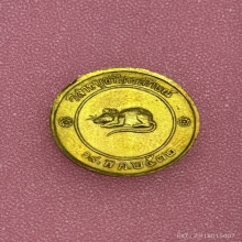เหรียญโชคดี