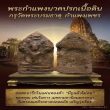 พระกำแพงนาคปรก เนื้อดินกรุวัดพระบรมธาตุ จ.กำแพงเพชร