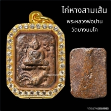 พระหลวงพ่อปาน ทรงไก่หางสามเส้น